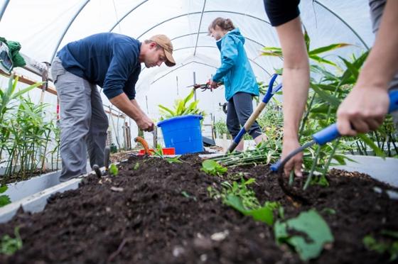 Photo of Chatham University students and professors tending to a gardening bed inside a greenhouse on the Eden Hall Campus